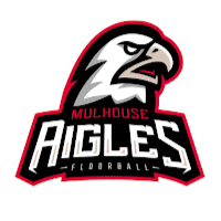 Aigle Mulhouse Floorball